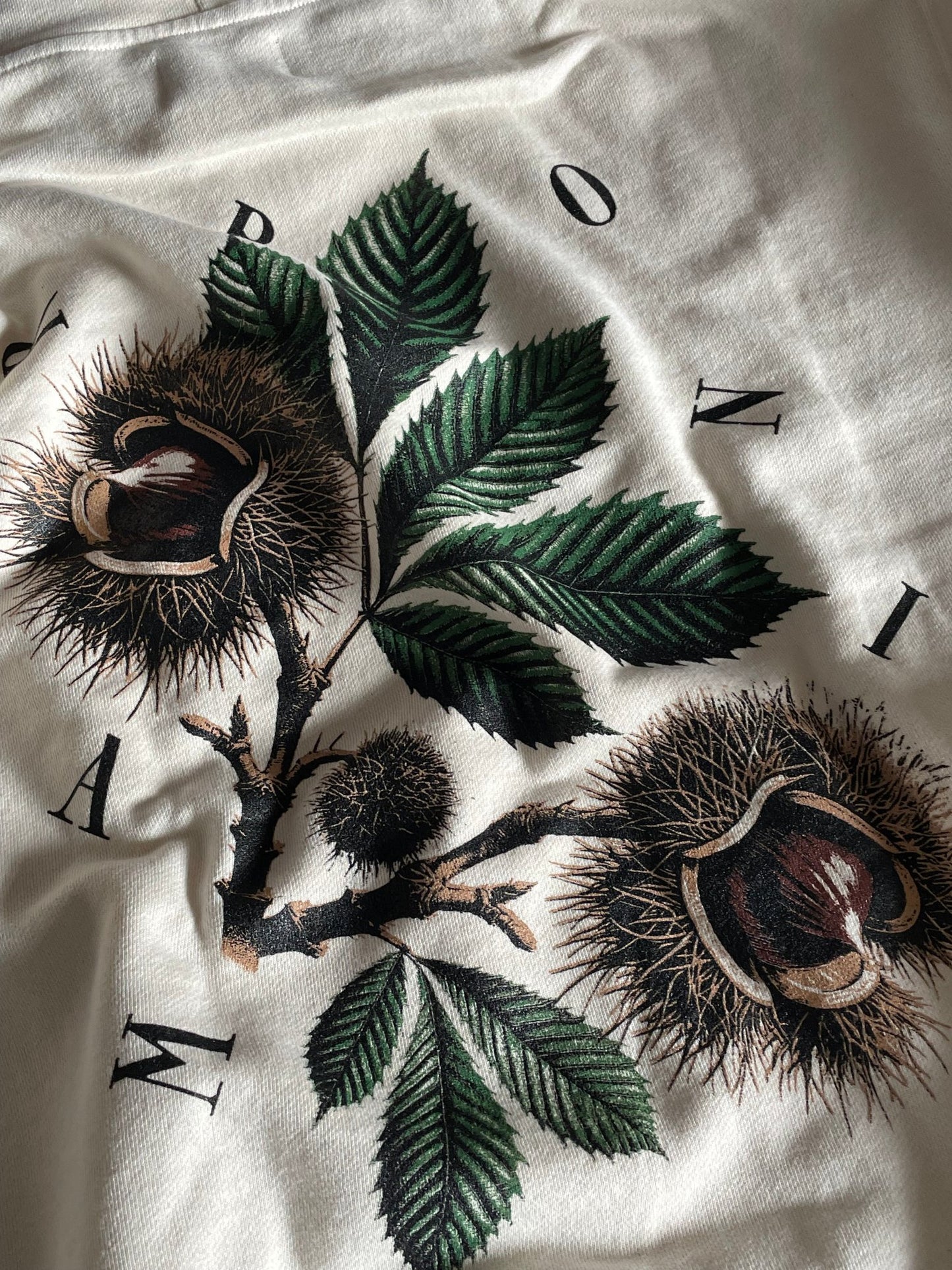 Saisonkalender Hoodie Oktober Marroni